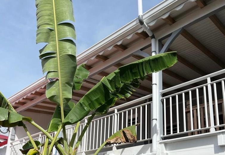 Bekeke Apartment Capesterre Exterior photo